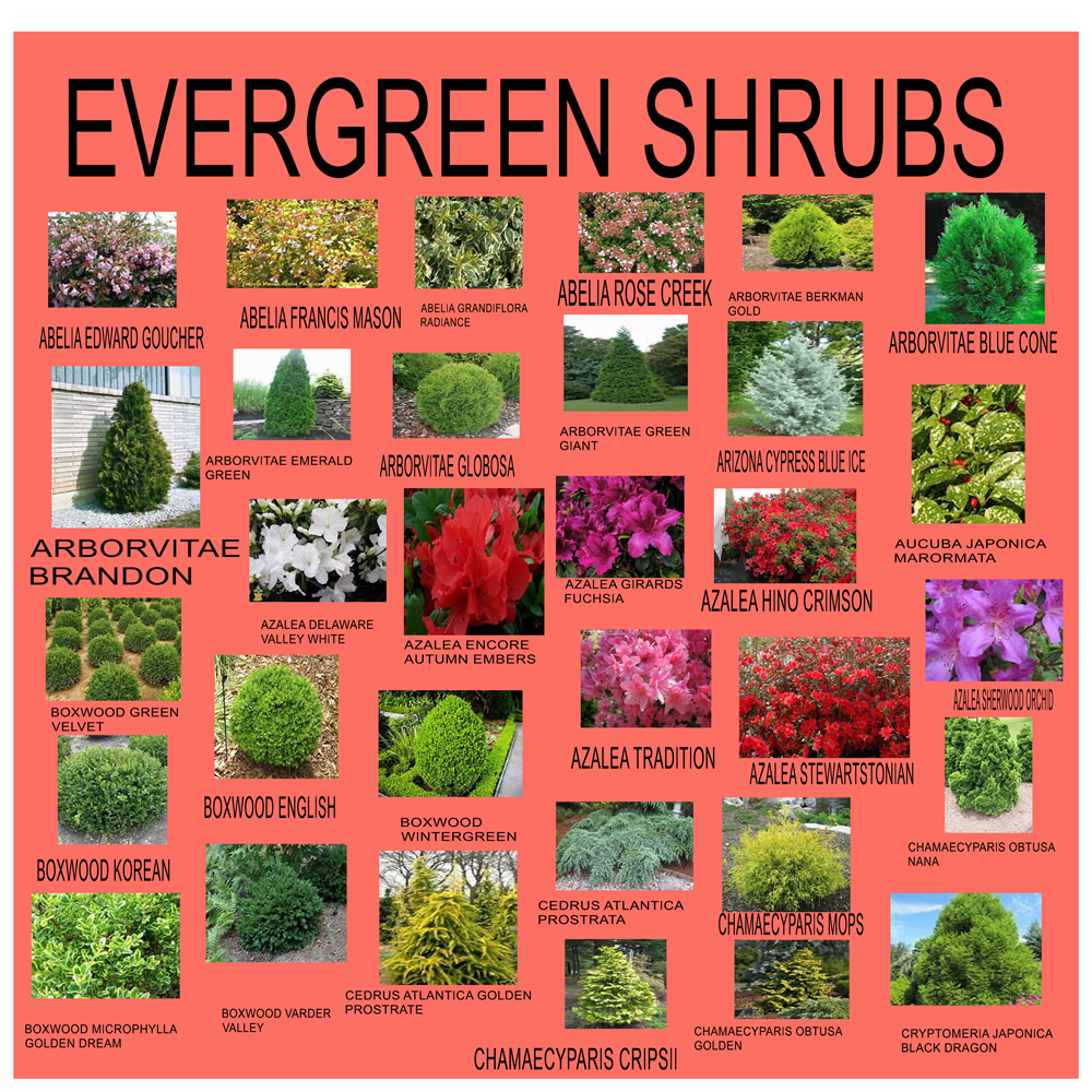 Warburton Nursery and Greenhouses ElizabethtownHershey Gardening